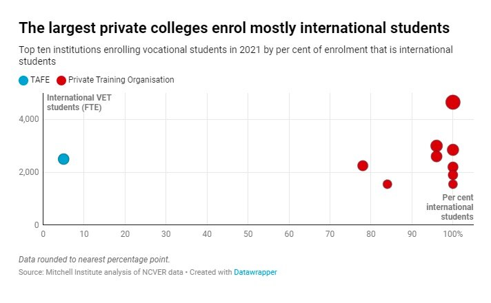 国际学生占比图