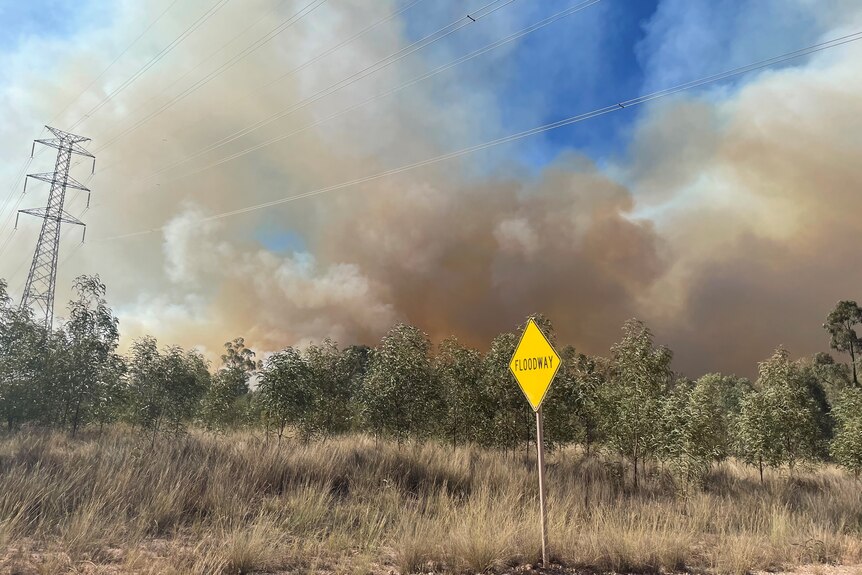 a picture of rising bushfire smoke taken from far away, powerlines are dwarfed by the smoke