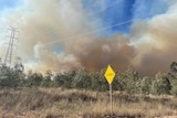 a picture of rising bushfire smoke taken from far away, powerlines are dwarfed by the smoke
