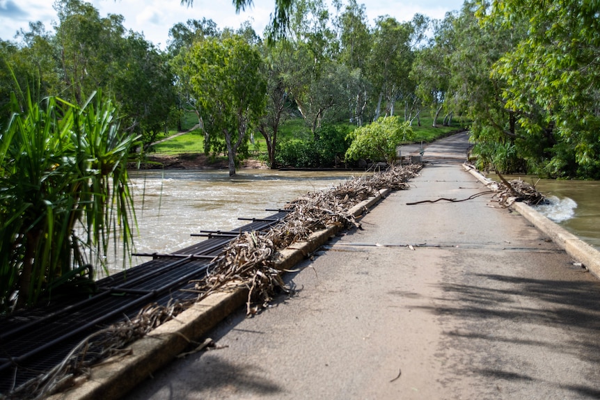 Un pont avec un grand volume d'eau qui coule en dessous, entouré d'arbres