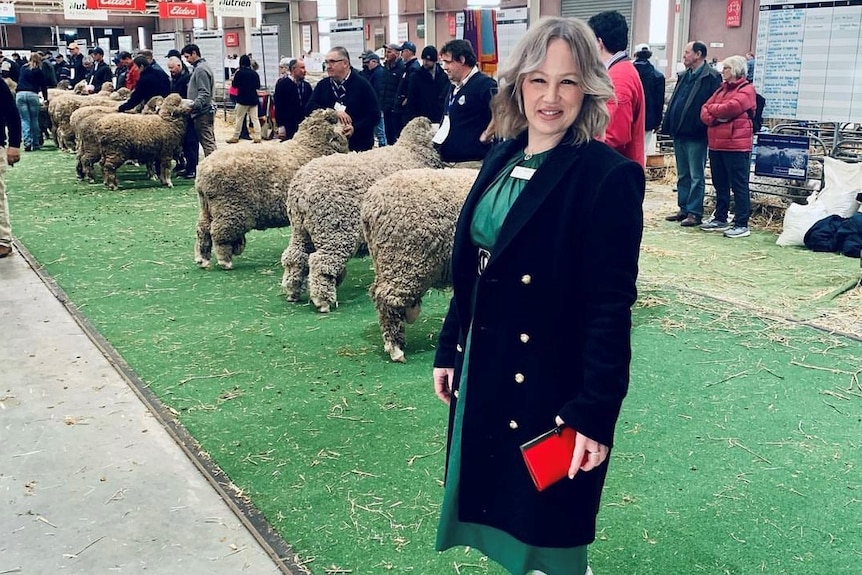A lady stands with a black coat on in front of a line-up of eight rams
