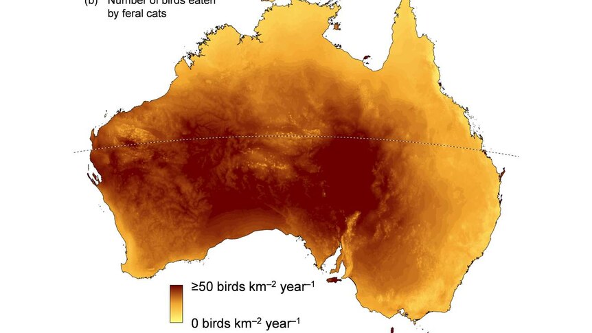 A map of Australia showing the number of birds eaten per square kilometre.