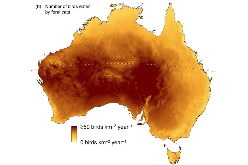 A map of Australia showing the number of birds eaten per square kilometre.