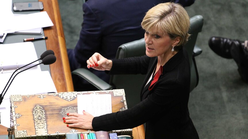 Foreign Minister Julie Bishop speaks in Parliament