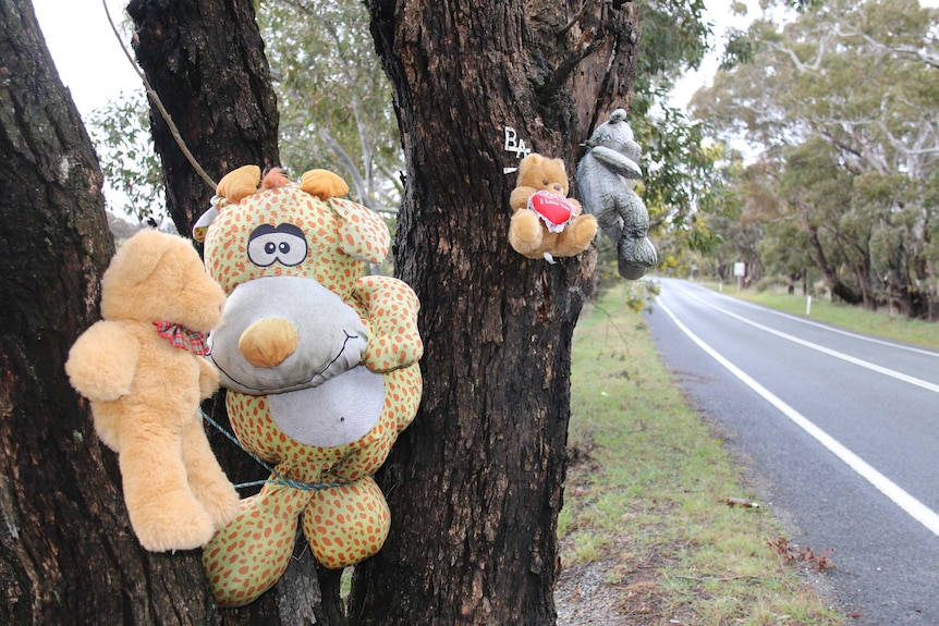 Teddy bears attached to trees beside the Kings Highway.