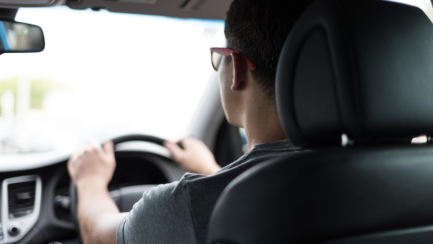 a man driving, seen from the back seat