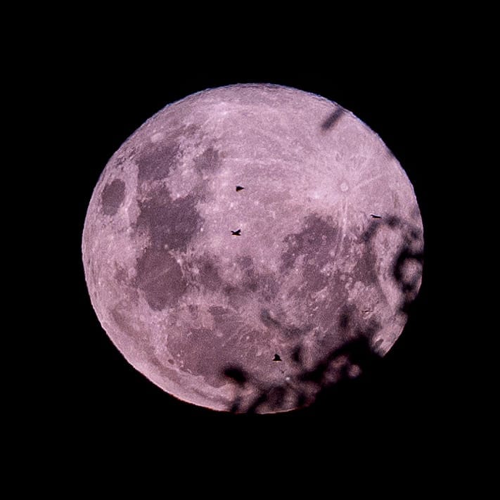 Super 'pink' moon shines across Australia as photographers snap