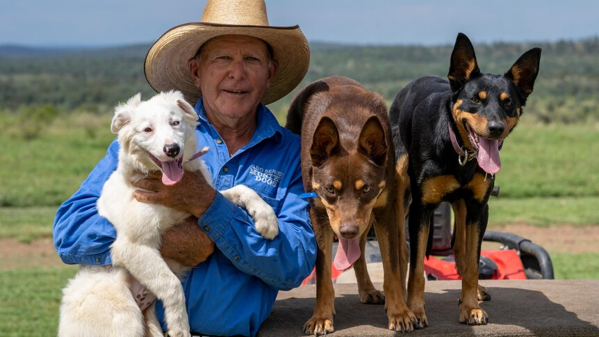 A man wearing a blue shirt and large hat holding a border collie while two kelpies stand on a four wheeler