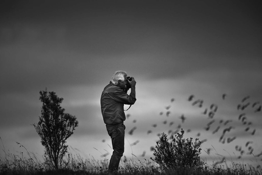 Black and white photo of man with white hair standing in a windswept landscape photographing a flock of birds.