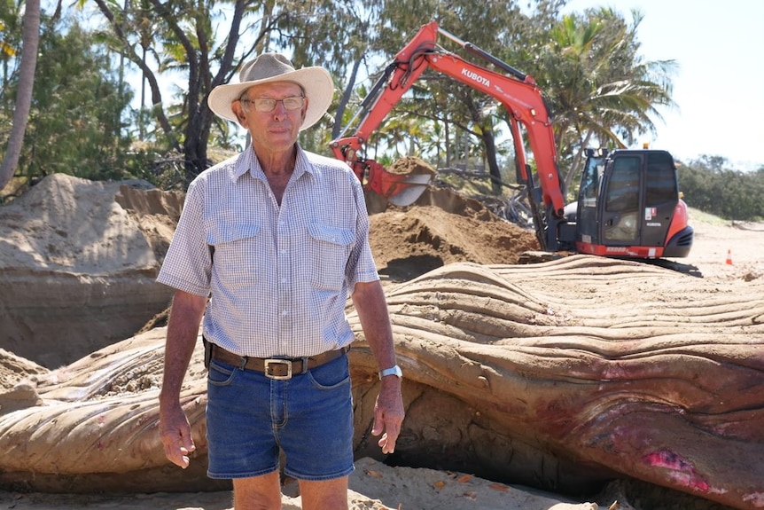 John Petersen stands beside a beached whale carcass on Sarina Beach.