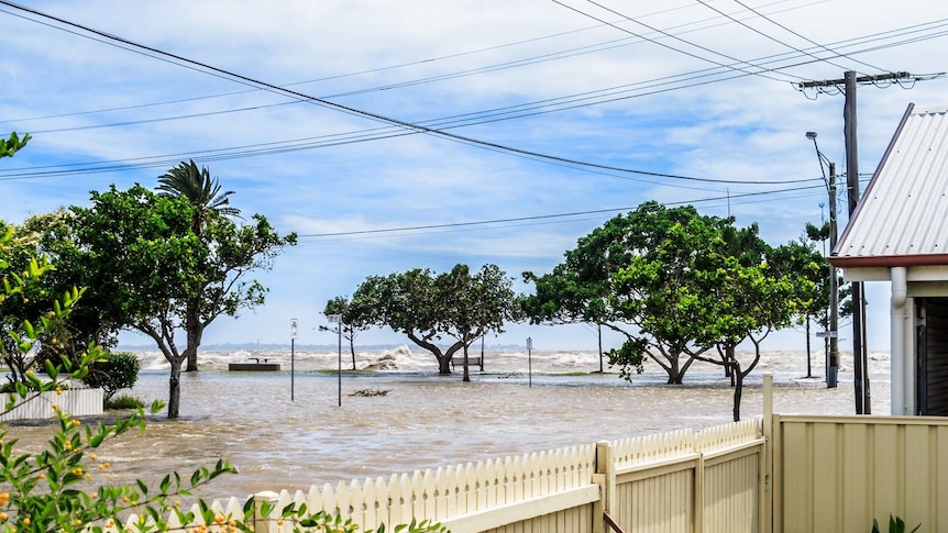 Green trees and the back of a house standing in flood waters