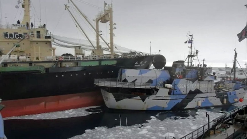 Sea Shepherd ship 'seconds away from being rolled over'