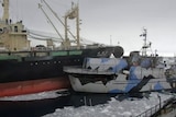 Sea Shepherd ship 'seconds away from being rolled over'