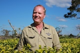 A man stands smiling in a tea field.