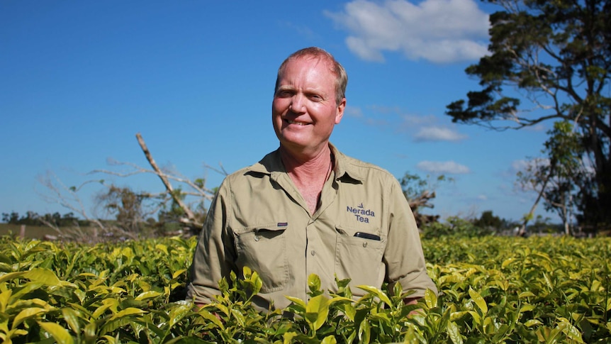 A man stands smiling in a tea field.