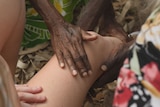 Hands of Aboriginal women on a white person's knee