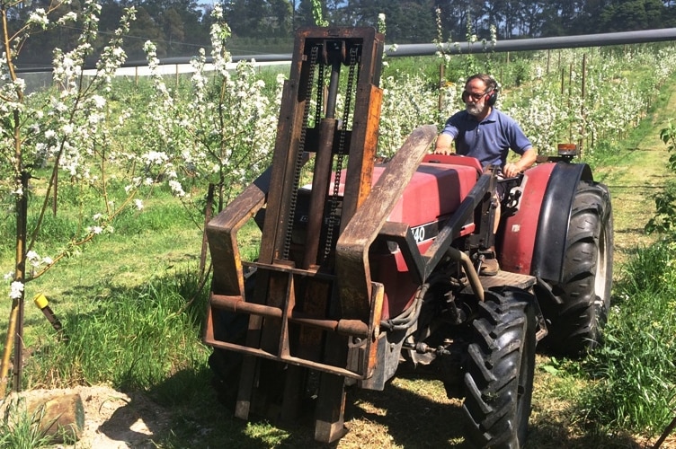 Prepping for peaches and plums