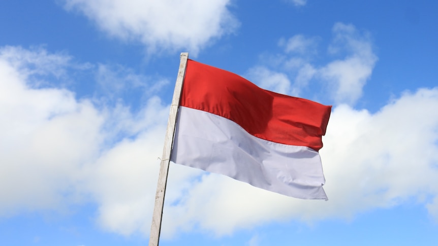 the Indonesian flag flows in the wind, it is red up the top and white down the bottom
