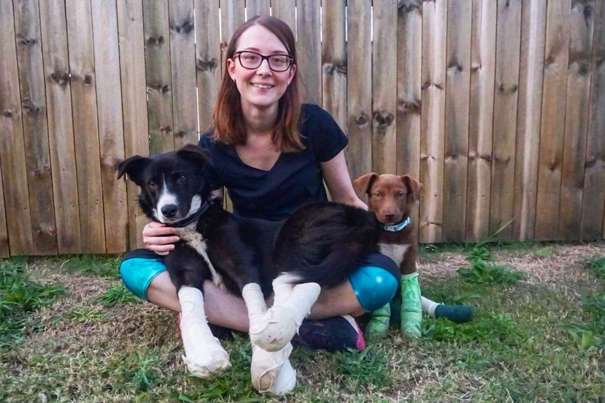A lady with two dogs with bandaged paws.
