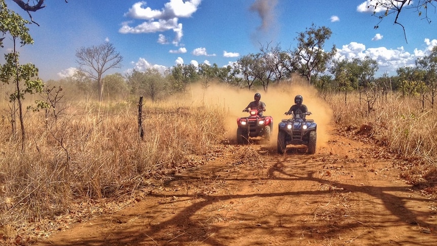 Two Indigenous cattlemen ride quad bikes during an assessment near Kununurra in the Kimberley, WA.