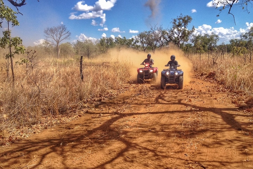 Two cattlemen ride quad bikes on a dry dusty road in Australia.