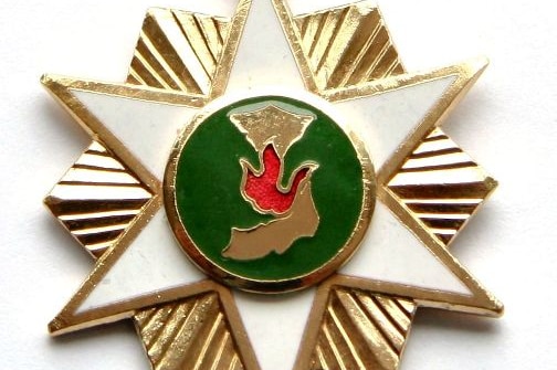 The Republic of Vietnam Campaign Medal