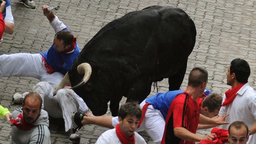 US author Bill Hillmann being gored during the Running of the Bulls