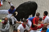 US author Bill Hillmann being gored during the Running of the Bulls