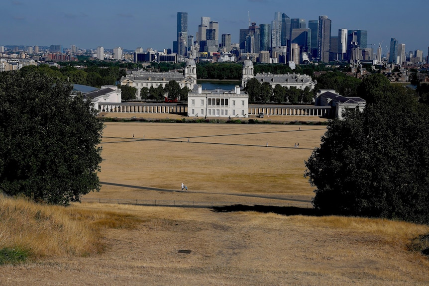 Dry and sun burnt grass across a large London park with the backdrop of the city.