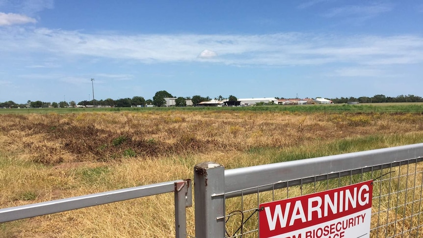 Areas at Berrimah Research Farm are in quarantine after the detection of Cucumber Green Mottle Mosaic Virus