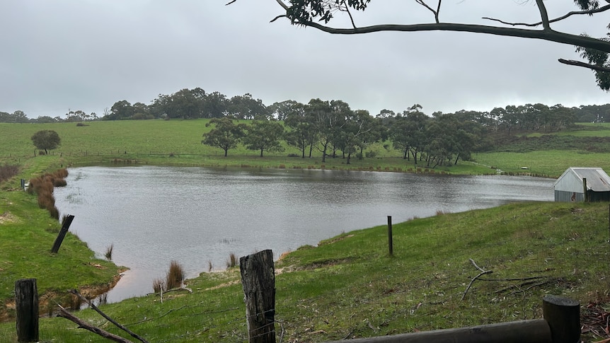 A dam surrounded by grass with trees in the background