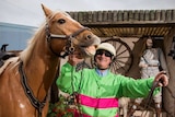 A man in harness racing gear next to a golden horse