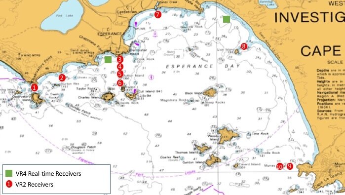 A map shows where the acoustic receivers will be dropped in the Esperance Bay
