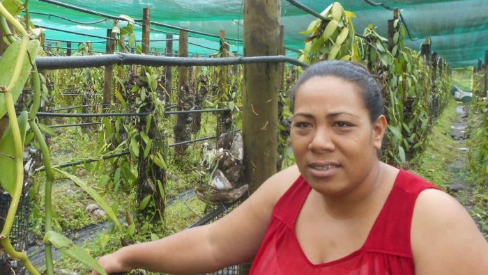 Tongan Vanilla bean grower Talavao Latu standing next to her crop.