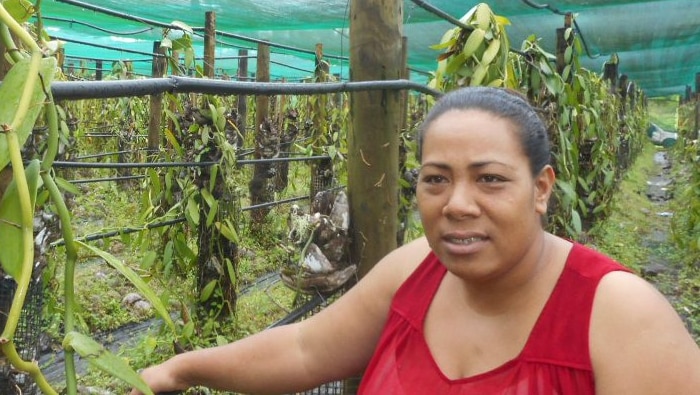 Woman stands beside vanilla crop