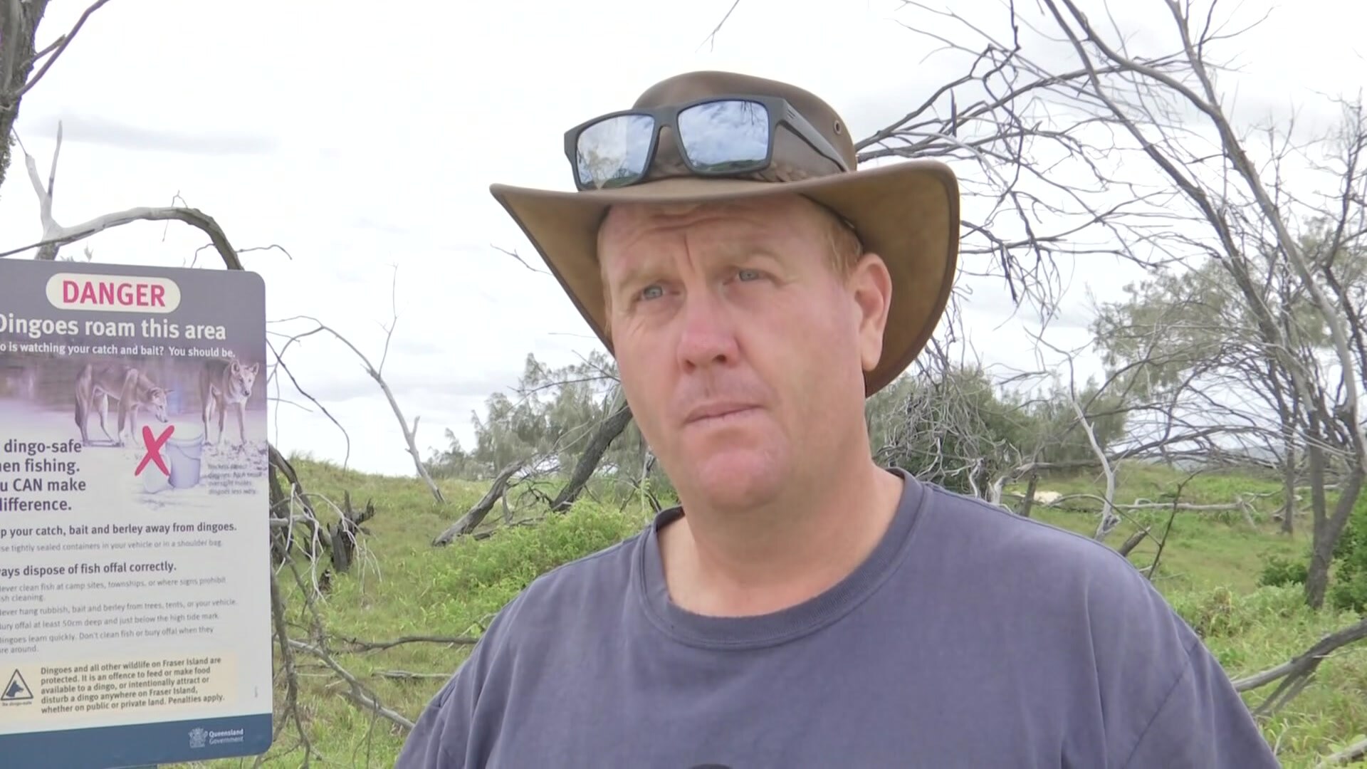 Boy bitten by dingo on K'gari (Fraser Island) ABC News