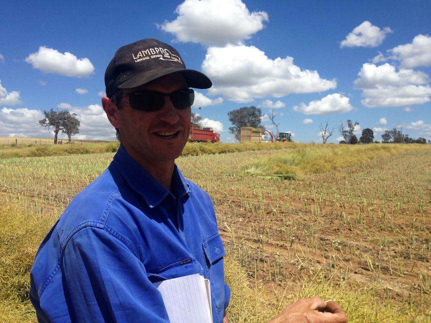 Grain grower Tony Flanery says extreme frosts froze the seeds and stems of more than 2,000 acres of canola and wheat.