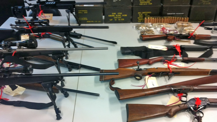 Assault guns seized from the home