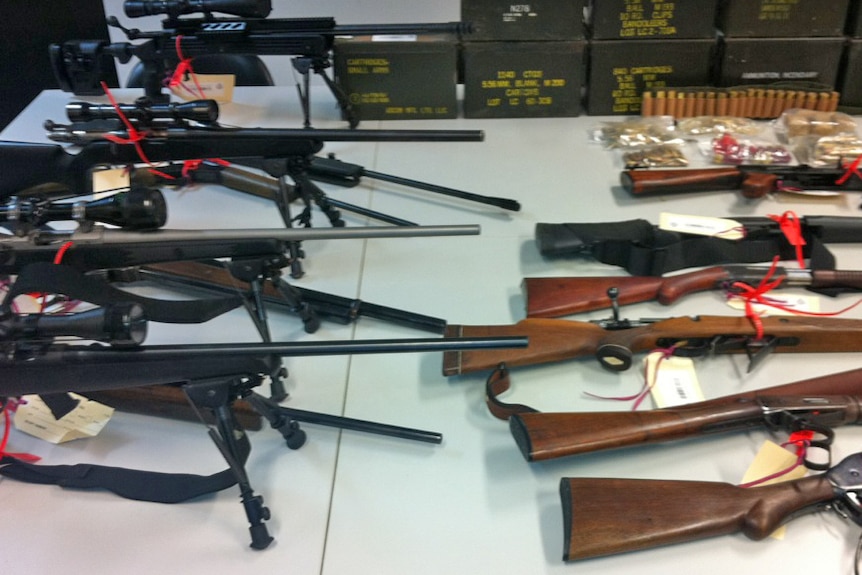 Assault guns seized from the home