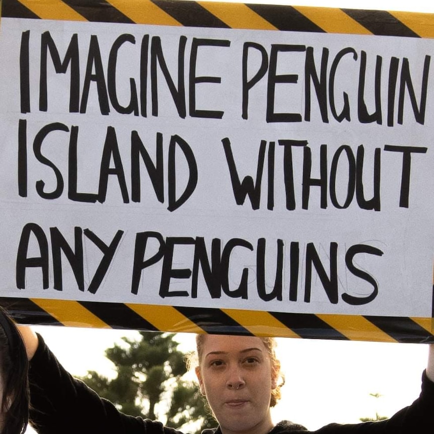 A woman holds a sign that says "Imagine Penguin Island with no penguins".