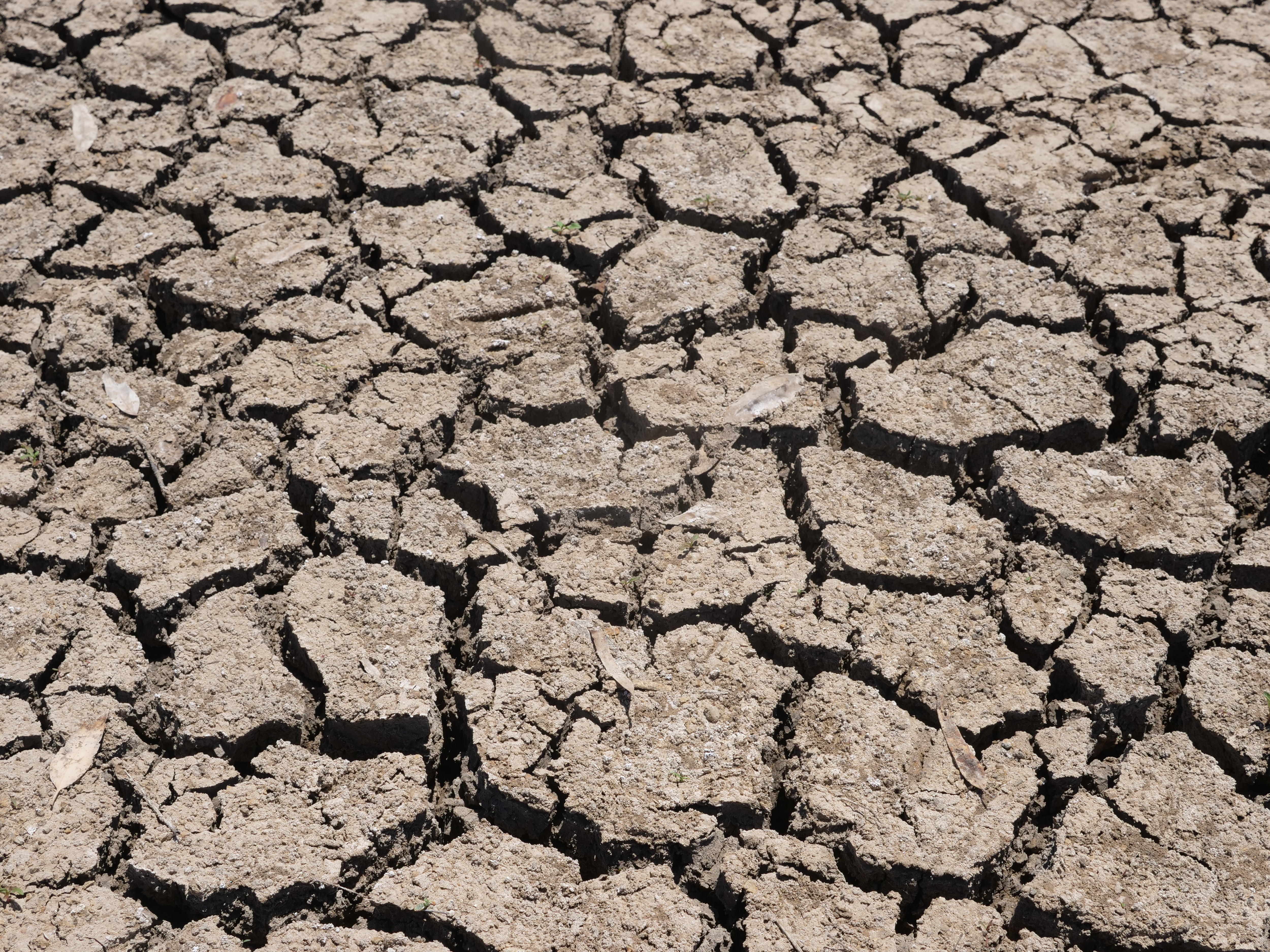Um close das rachaduras profundas no leito seco do lago