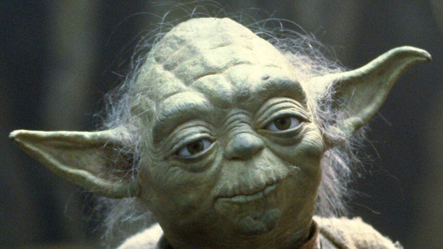 A close up of Yoda in a scene from the Star Wars series