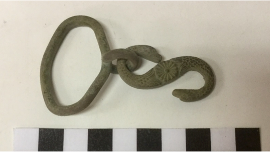 Recovered snake belt clasp.