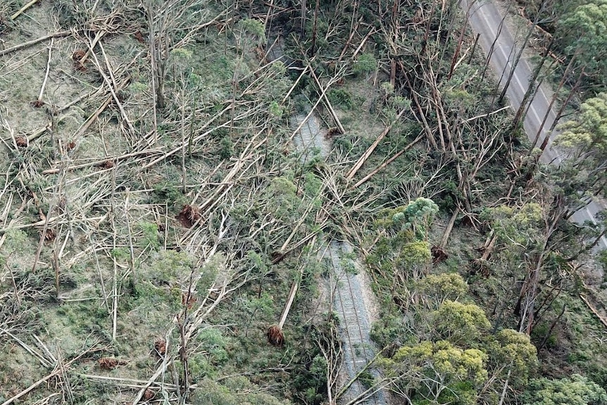 Image aérienne des dommages causés par la tempête et des arbres tombés le long de Daylesford Spa Country Railway