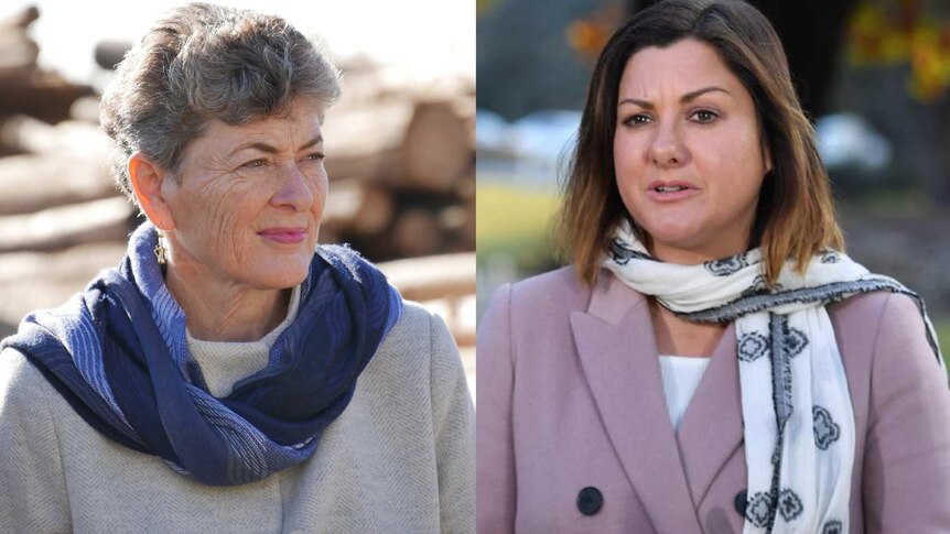 A composite image of Eden-Monaro candidates Fiona Kotvojs and Kristy McBain