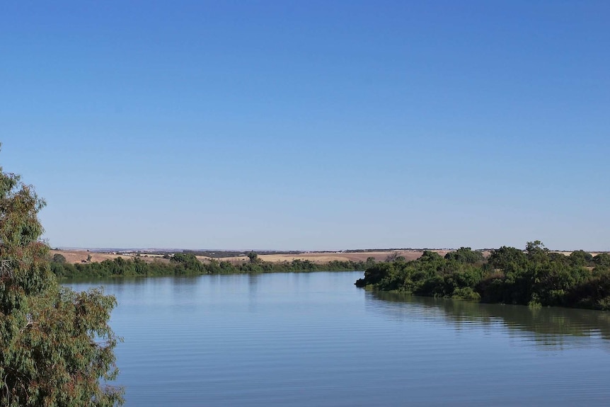 The River Murray at Murray Bridge