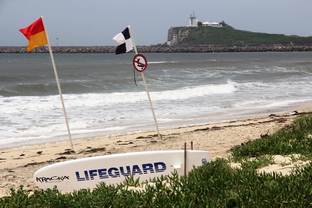 People on Stockton and Nobbys breakwalls spotted the shark swimming just metres from fishermen yesterday afternoon.