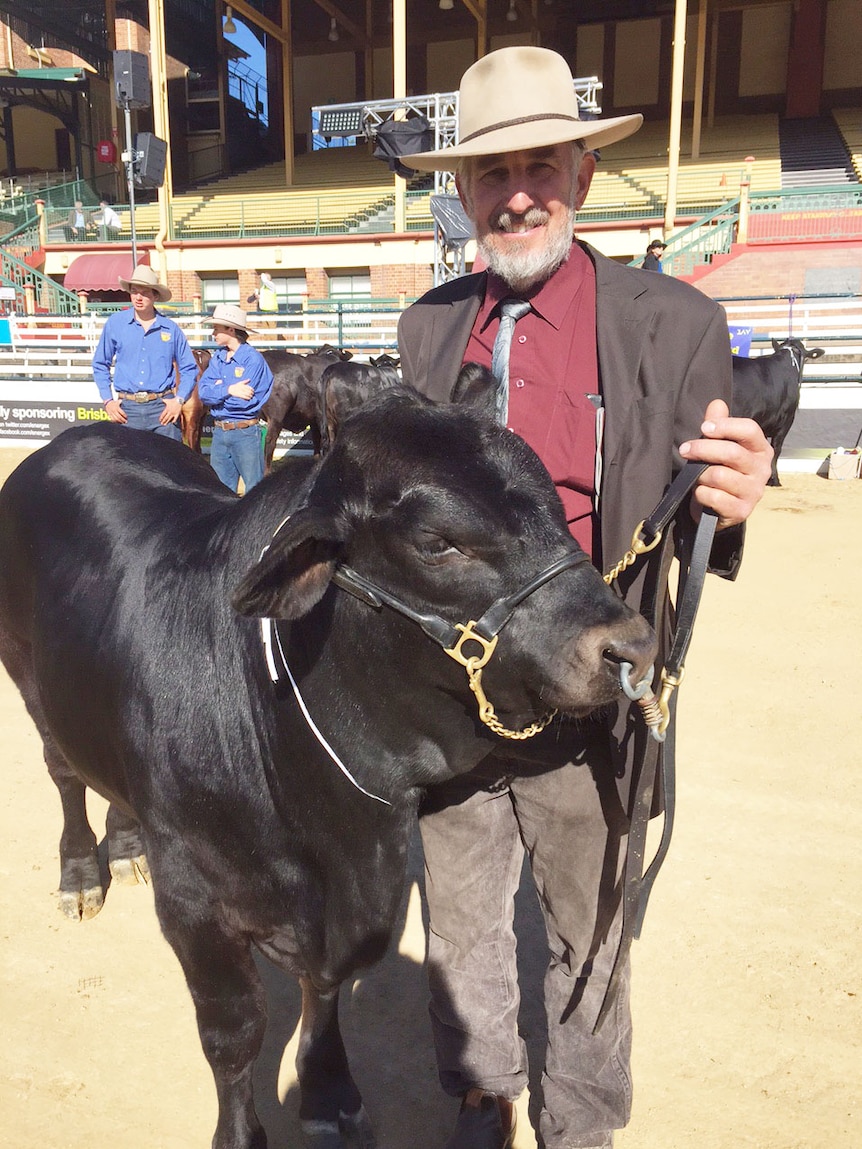Rodney Johannesen with his bull Folkslee Knight at the Brisbane Exhibition