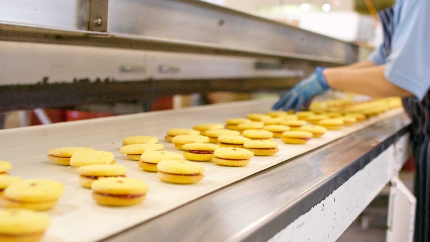 Biscuits travel down the conveyor belt at Kookas Country Cookies factory.