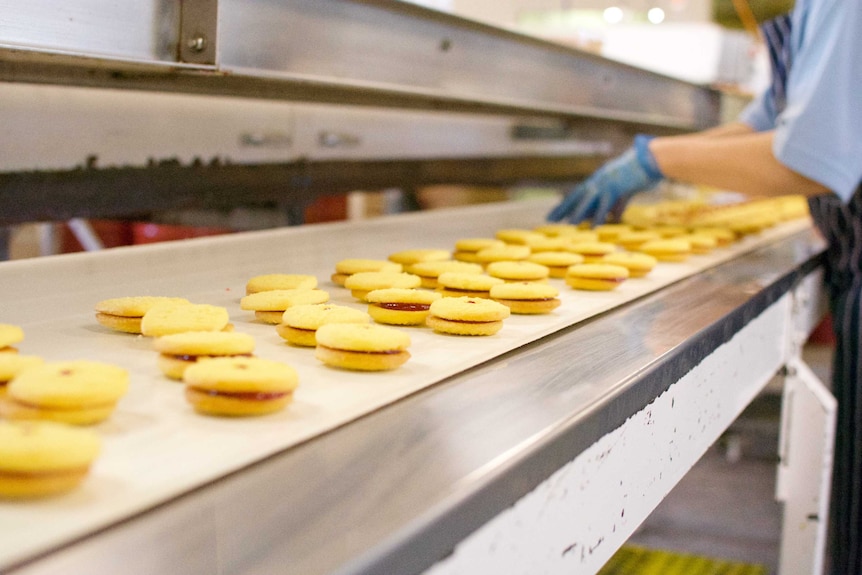 Biscuits travel down the conveyor belt at the Kooka's Country Cookies factory.